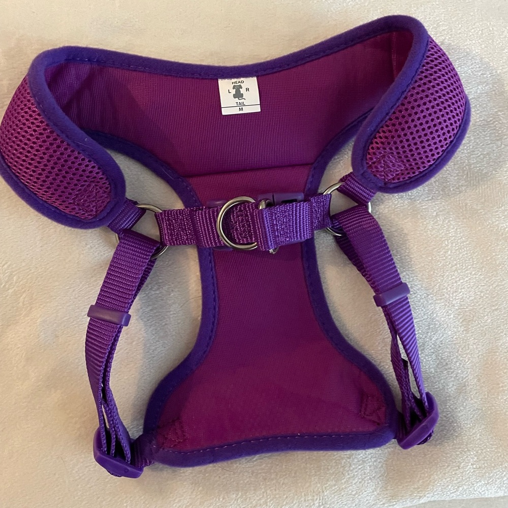 Dog Harness